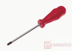 TORX UÇLU TORNAVİDA T10